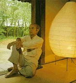 Papierleuchten Noguchi